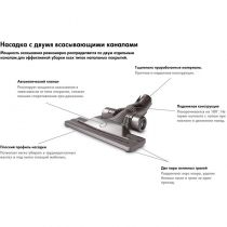 Dyson DC46 Allergy Parquet